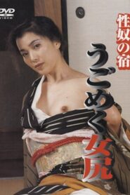 Seiyatsu no yado: ugokumeku mejiri 2000 on netflix