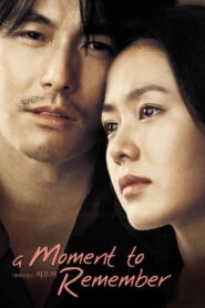 A Moment to Remember 2004 on netflix