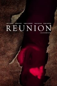 Reunion 2015 on netflix