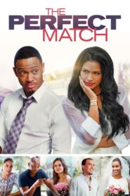 The Perfect Match 2016 on netflix