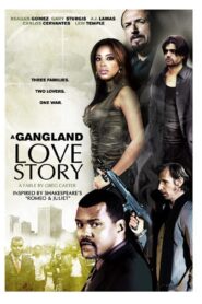 A Gangland Love Story 2010 on netflix