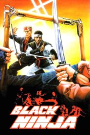Ninja: Silent Assassin 1987 on netflix