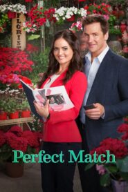 Perfect Match 2015 on netflix