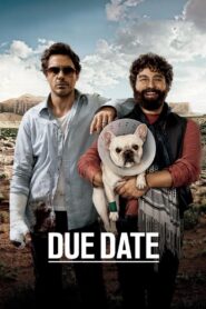 Due Date 2010 on netflix
