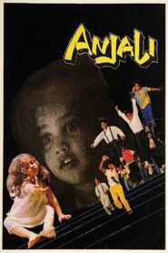 Anjali 1990 on netflix