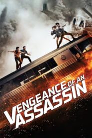 Vengeance of an Assassin 2014 on netflix