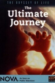 Odyssey of Life 1996 on netflix