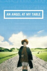 An Angel at My Table 1990 on netflix