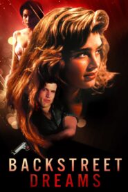 Backstreet Dreams 1990 on netflix