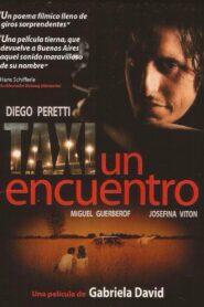 Taxi, An Encounter 2001 on netflix