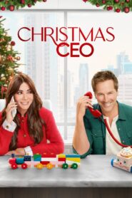 Christmas CEO 2021 on netflix