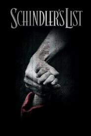 Schindler’s List 1993 on netflix