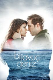 Bir Avuç Deniz 2011 on netflix