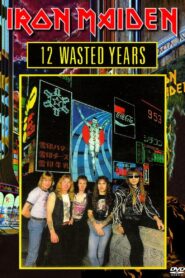 Iron Maiden: 12 Wasted Years 1987 on netflix