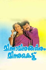Minnaminuginum Minnukettu 1995 on netflix