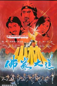 The Shaolin Disciple 1980 on netflix
