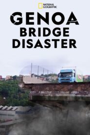 Genoa Bridge Disaster 2019 on netflix