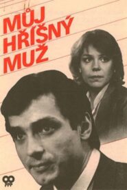 Můj hříšný muž 1987 on netflix