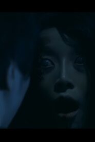 The Room 2014 on netflix