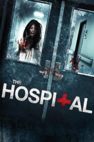 The Hospital 2013 on netflix