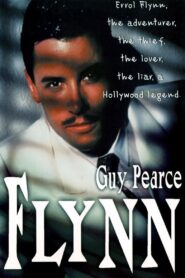 Flynn 1993 on netflix