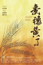 Golden Grain 2019 on netflix