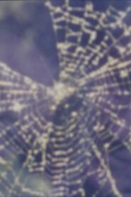 Worm and Web Love 1999 on netflix