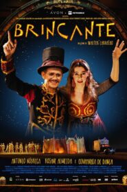 Brincante 2014 on netflix