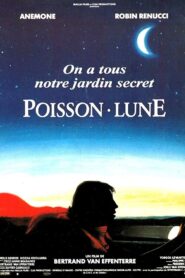 Sunfish 1993 on netflix
