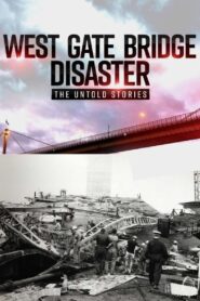 Westgate Bridge Disaster: The Untold Stories 2020 on netflix