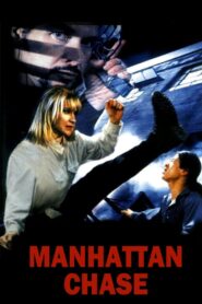 Manhattan Chase 2000 on netflix