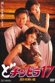Dochinpira 17: Sizzling Lewd Skin 1996 on netflix