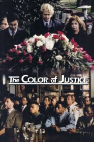 Color of Justice 1997 on netflix