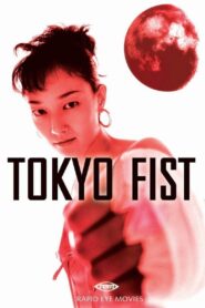 Tokyo Fist 1995 on netflix