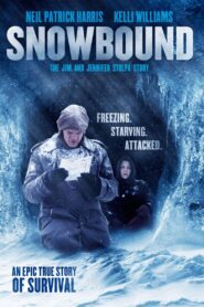 Snowbound: The Jim and Jennifer Stolpa Story 1994 on netflix