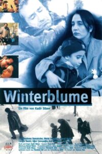 Winter Flowers 1997 on netflix