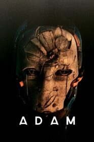 Adam 2016 on netflix