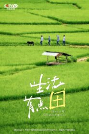 生活有点“田” 2023 on netflix