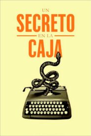 A Secret in the Box 2017 on netflix