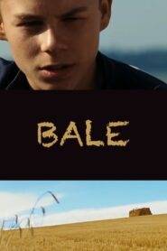 Bale 2009 on netflix