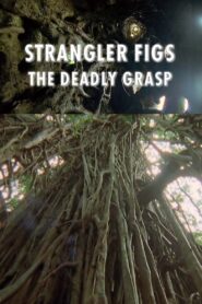 Strangler Figs: The Deadly Grasp 2000 on netflix