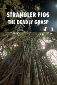 Strangler Figs: The Deadly Grasp 2000 on netflix