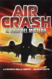 NTSB: The Crash of Flight 323 2004 on netflix