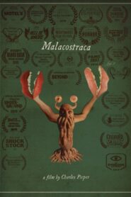 Malacostraca 2018 on netflix