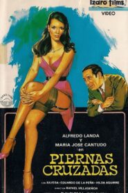 Piernas cruzadas 1984 on netflix