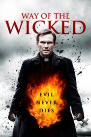 Way of the Wicked 2014 on netflix