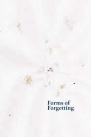 Forms of Forgetting 2023 on netflix