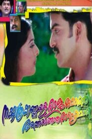 Nakshathrakkannulla Rajakumaran Avanundoru Rajakumari 2002 on netflix
