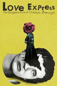 Love Express. The Disappearance of Walerian Borowczyk 2018 on netflix