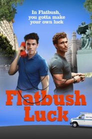Flatbush Luck 2016 on netflix